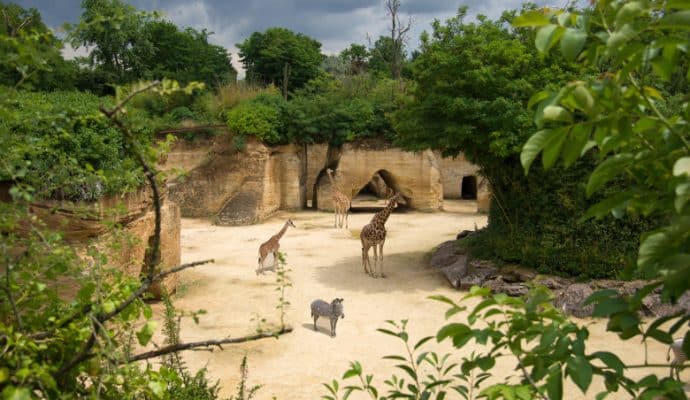 Bioparc de Doué‑la‑Fontaine